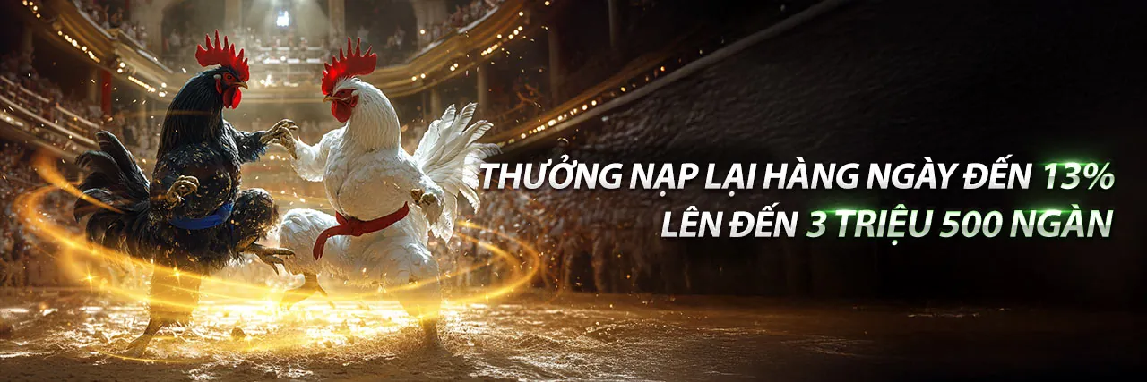 Hình ảnh chính liên hệ 3in1bet trang chủ chính thức
